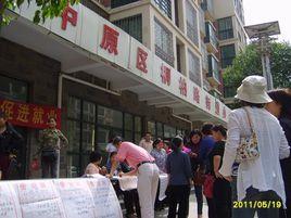 桐柏路街道 桐柏路街道