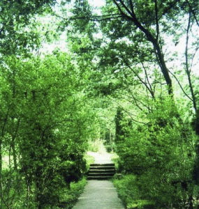 達縣雷音鋪森林公園 達縣雷音鋪森林公園