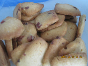 焦香蔓越莓餅乾 焦香蔓越莓餅乾