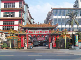 海南椰樹集團 海南椰樹集團