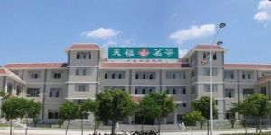 天福茗茶加工基地