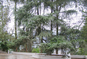 開縣華承初級中學