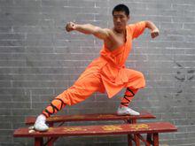 熊磊[電影演員、功夫新星]