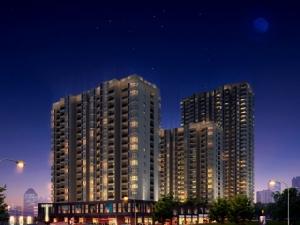 明星央城 明星央城