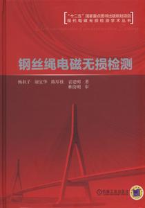 鋼絲繩電磁無損檢測 鋼絲繩電磁無損檢測
