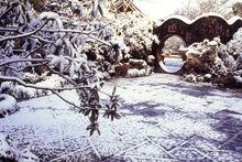 蘇州園林—冬景