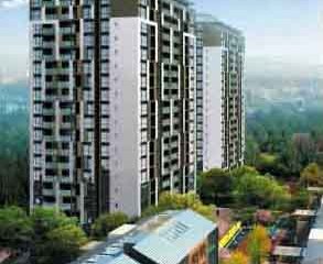 中豪優活城 中豪優活城