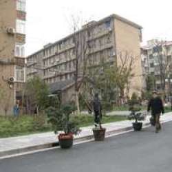 梅花村楊浦 梅花村楊浦