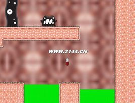 藥丸小子 藥丸小子