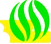 汾陽四中 汾陽四中