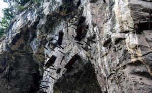 宜賓民族崖墓群 宜賓民族崖墓群