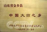 金鄉大蒜節 金鄉大蒜節