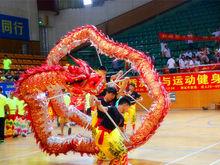 華南農業大學龍獅隊