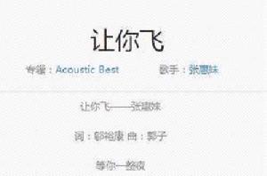 讓你飛[張惠妹演唱歌曲]