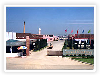 德華集團控股股份有限公司