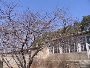 北鎮市大市鎮 北鎮市大市鎮