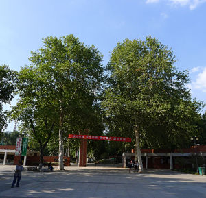 鹽城市人民公園 鹽城市人民公園