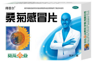 桑菊感冒片