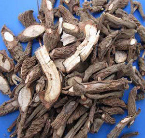 抓龍[紫金牛科植物硃砂根的根及根莖]