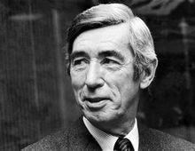 埃爾熱：丁丁就是我