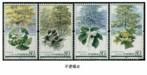 施邁斯內果屬 施邁斯內果屬