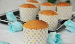 紙杯小海綿 紙杯小海綿