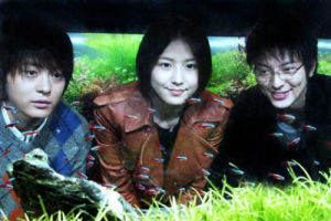 等待只為與你相遇