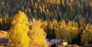 那仁夏牧場 那仁夏牧場