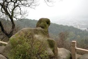 靈岩石龜 靈岩石龜