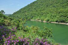 銀瓶山森林公園 清溪黃茅田景區