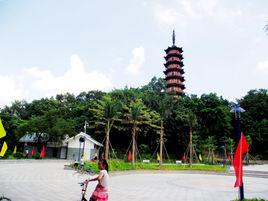 龍華公園 龍華公園