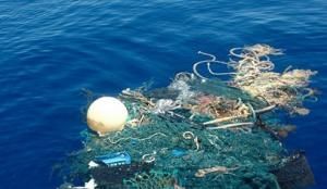 北太平洋海洋科學組織