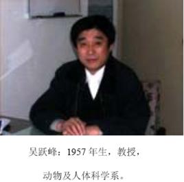 吳躍峰 吳躍峰