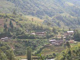 茶葉林自然村 茶葉林自然村