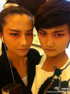 蘇妙玲 段林希 的戲曲風