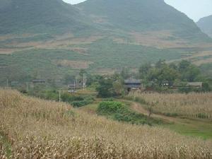 沙拉伯村 沙拉伯村