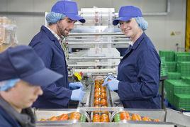 食品加工 食品加工