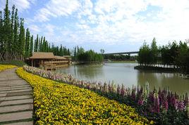 五朵金花[成都農家樂五朵金花]