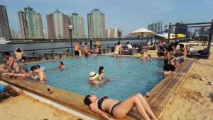 黃金泳池 黃金泳池