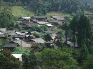 茂梧下寨自然村 茂梧下寨自然村