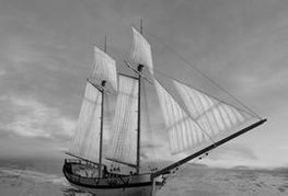 共同海損分攤 共同海損分攤