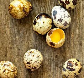 鵪鶉蛋[中藥]