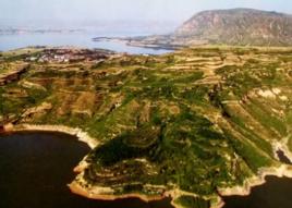 澠池上河曙猿化石遺址 澠池上河曙猿化石遺址