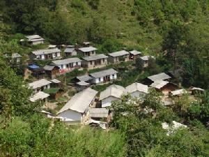 向木自然村 向木自然村