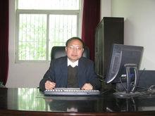 陳正洪[武漢市黃陂區第三中學高級教師]