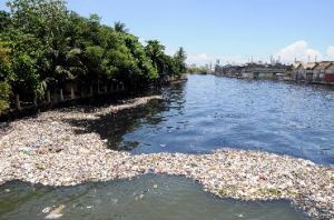 帕西格河 帕西格河
