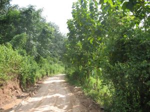 馬遷自然村 馬遷自然村