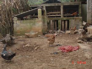 下坪子自然村村民居住壞境