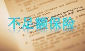 不足額保險 不足額保險