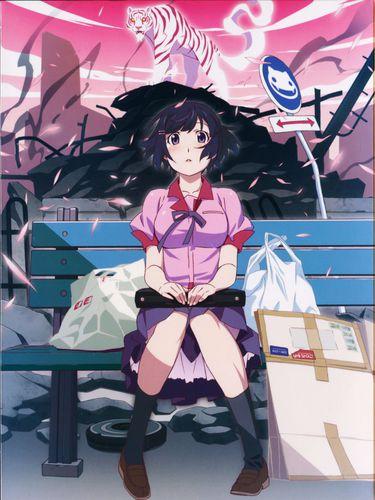 花物語[SHAFT改編的電視動畫]